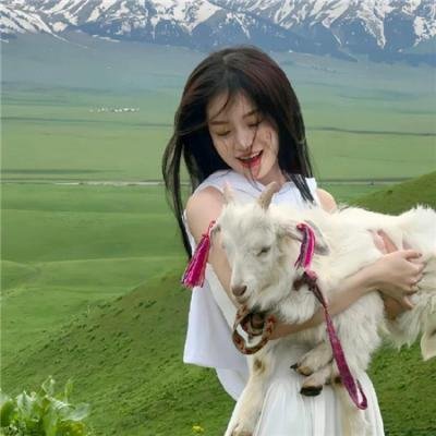 小谢尔顿第三季 封面